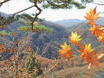 2025新澳芳草地資料和今晚澳門9點(diǎn)35分開獎(jiǎng)實(shí)用性解讀,全面釋義、解釋與落實(shí)與虛假宣傳-全面釋義、解釋與落實(shí)
